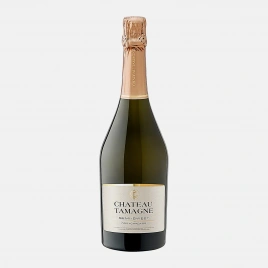 Вино игристое Chateau Tamagne белое полусладкое 12.5% 750мл