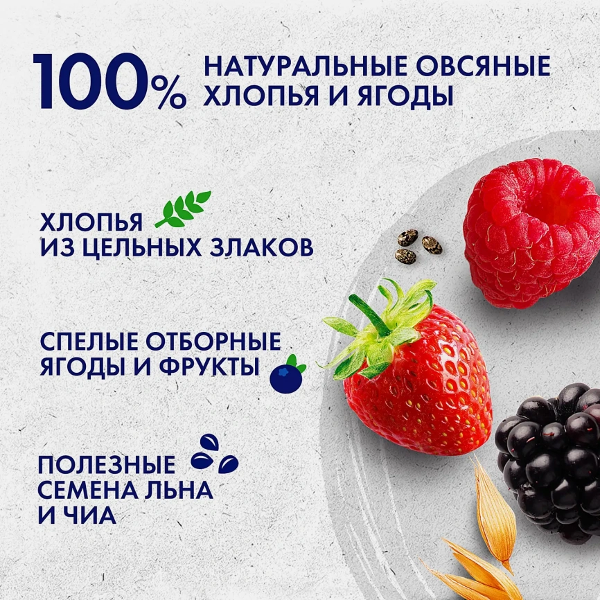 Овсянка по-новому со вкусом Клубника и чиа/Лесные ягоды и семена льна Быстров 35г в ассортименте фото 5