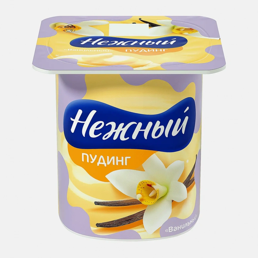 Пудинг Нежный ванильный 2.8% 100г фото 1
